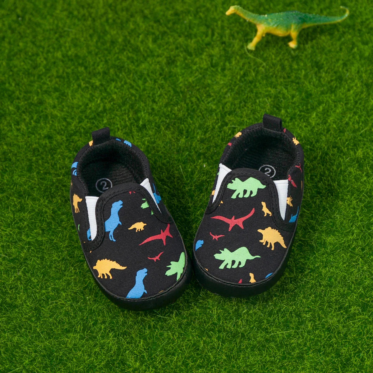 Dino Slip On Shoes