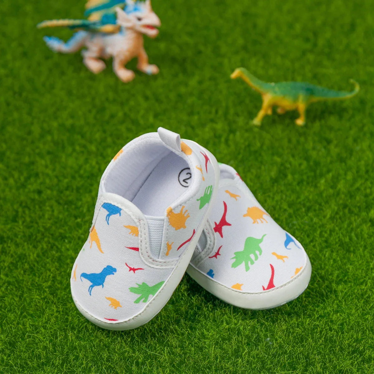 Dino Slip On Shoes