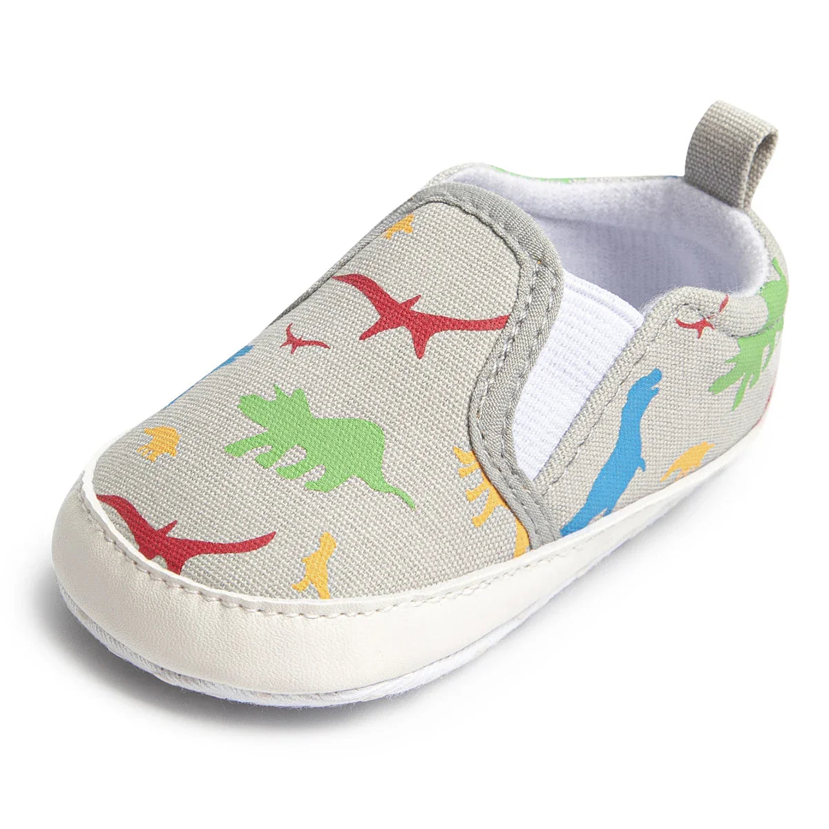 Dino Slip On Shoes