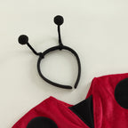Lady Bug Costume