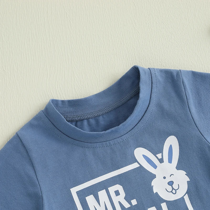 Easter Bunny Boys Outfit Set