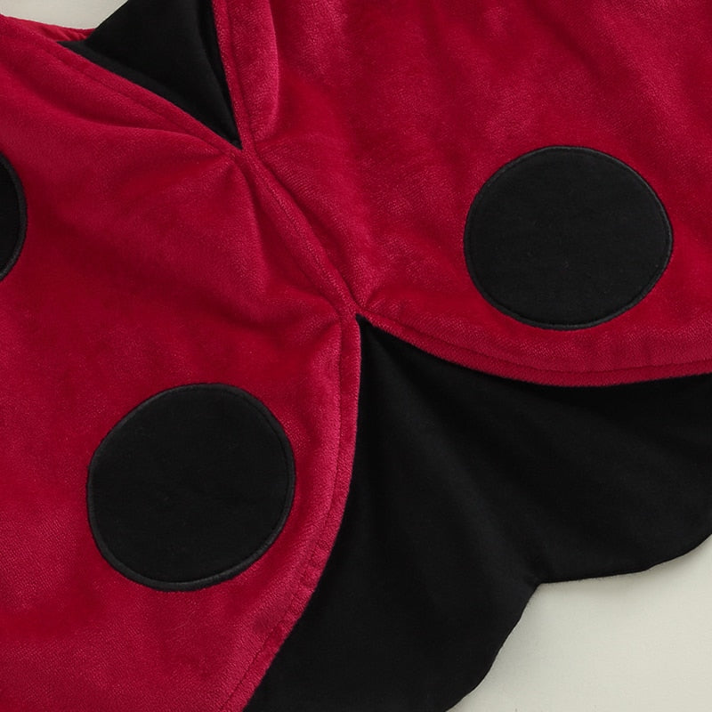 Lady Bug Costume