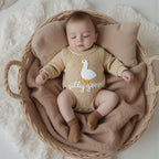 Silly Goose Onesie