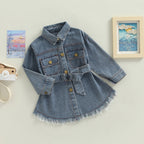 Frayed Denim Belt Dress