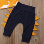 Dinosaur Pants and Sweatshirt